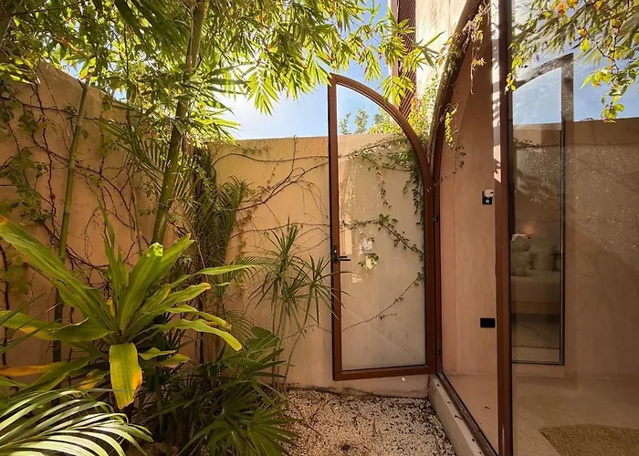 Apartment Wellness & Organic