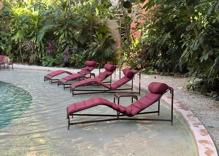 Wellness & Organic Tulum