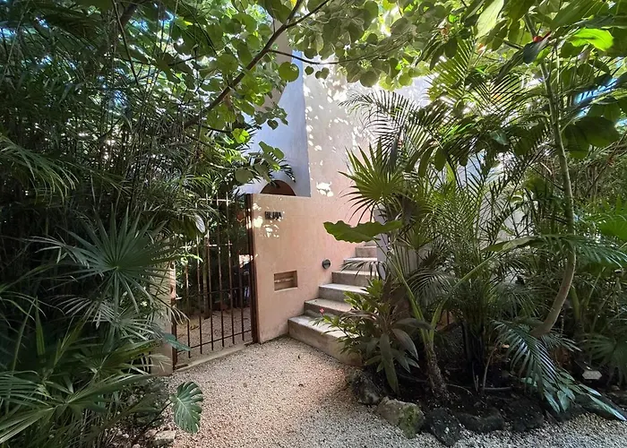 Wellness & Organic Tulum